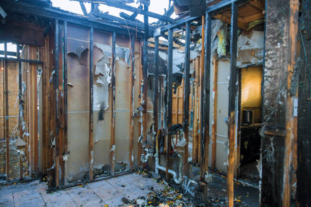 Professional Fire Damage Removal technician working in Pflugerville, TX